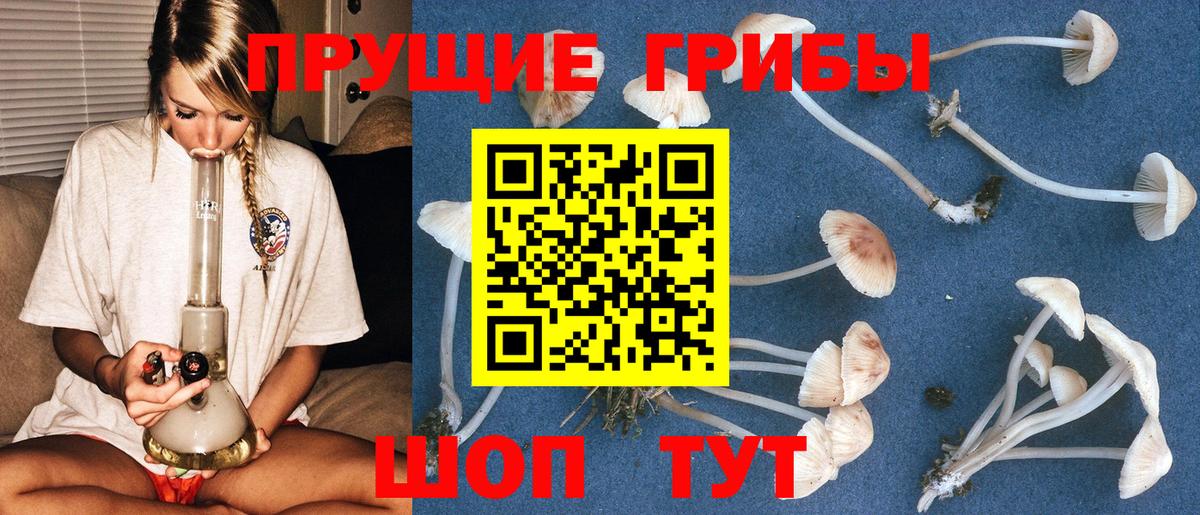 Фролово  Галлюциногенные грибы мухоморы  Вход с VPN 
